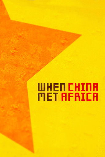 When China Met Africa 2011