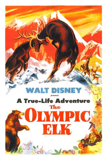 The Olympic Elk 1952