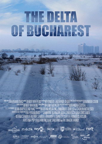 The Delta of Bucharest 2020
