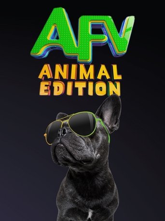 America's Funniest Home Videos: Animal Edition 2021