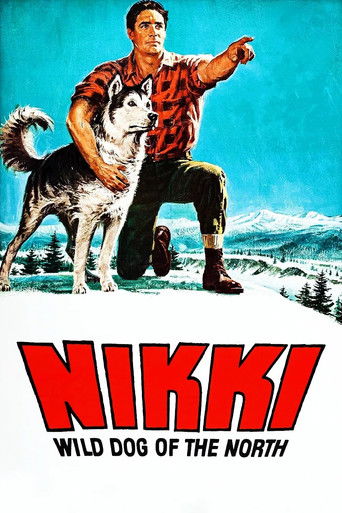 Nikki, Wild Dog of the North 1961