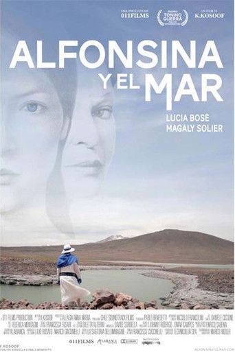 Alfonsina y el mar (One More Time) 2013