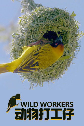 Wild Workers 2021