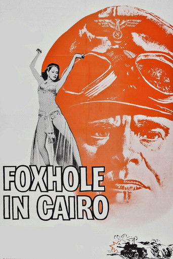 Foxhole in Cairo 1960