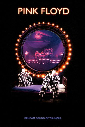 Pink Floyd: Delicate Sound of Thunder 1989