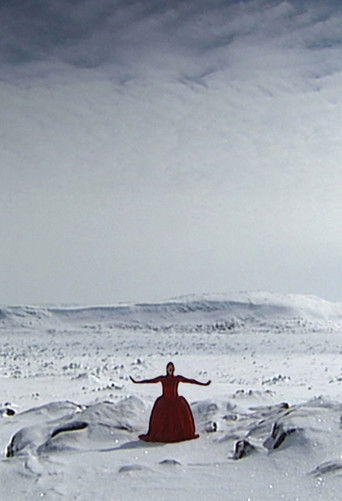 Invisible 2007