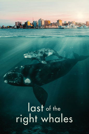 Last of the Right Whales 2021