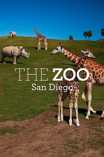 The Zoo: San Diego 2019