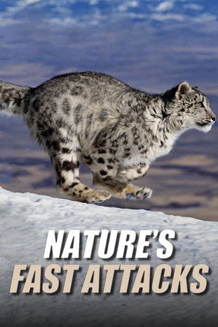 Nature's Fast Attacks 2023