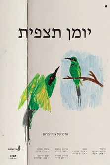 Observation Diary 2023