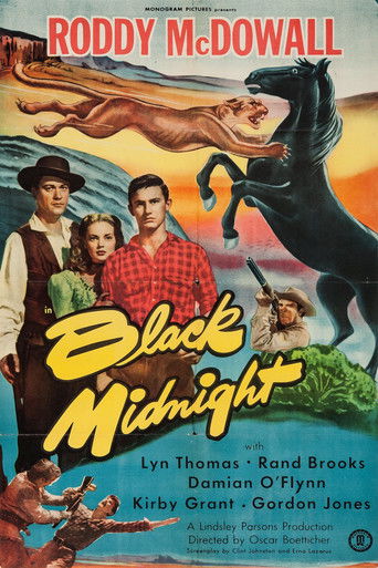Black Midnight 1949