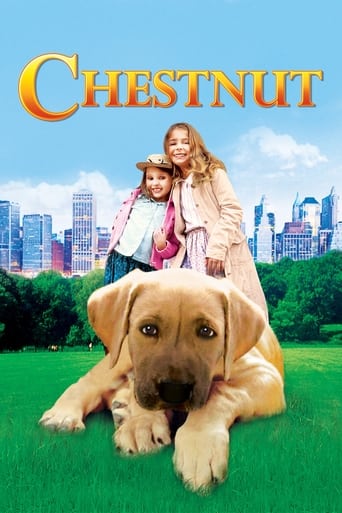 Chestnut: Hero of Central Park 2004