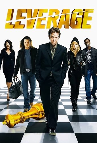 Leverage 2008