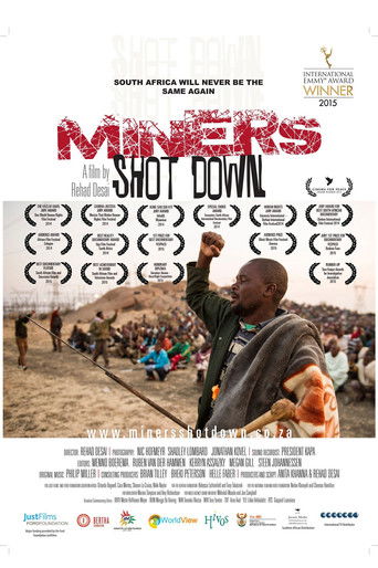 Miners Shot Down 2014