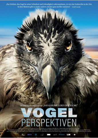 Bird's Eyeview 2022