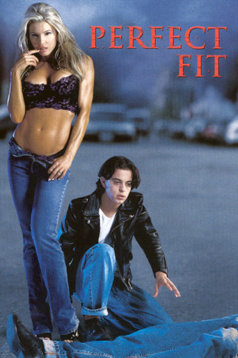 Perfect Fit 2001