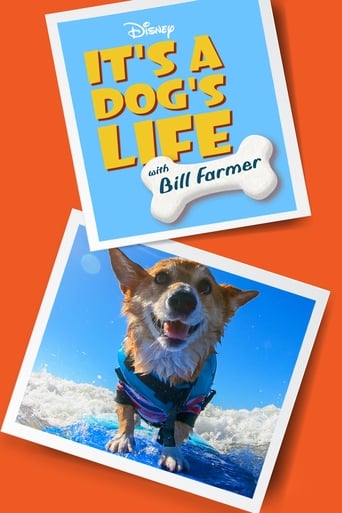 It's a Dog's Life With Bill Farmer 2020