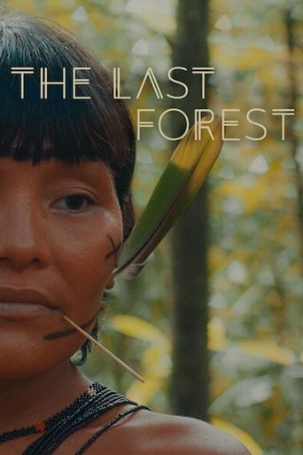 The Last Forest 2021