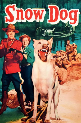 Snow Dog 1950