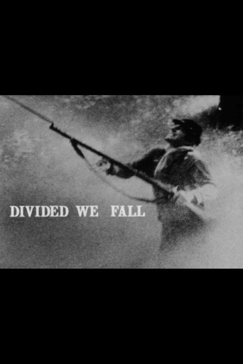 Divided We Fall 1982