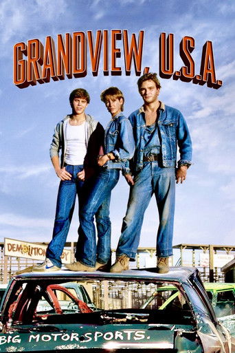 Grandview, U.S.A. 1984
