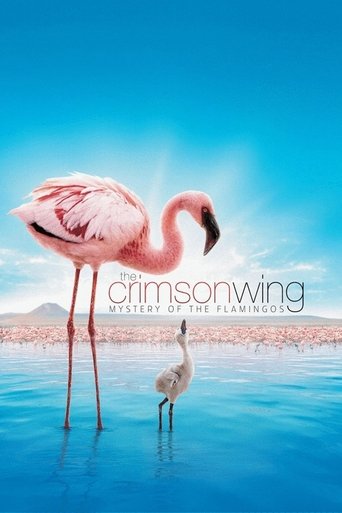 The Crimson Wing: Mystery of the Flamingos 2008